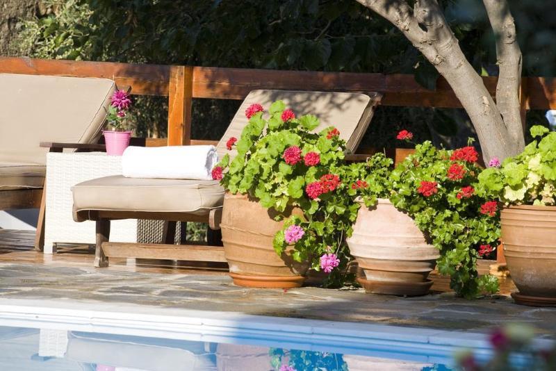 Despotiko 4* Mykonos Town